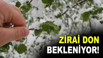 Kırşehir’de Soğuk ve Yağışlı Hava Uyarısı: Zirai Don Riski Var