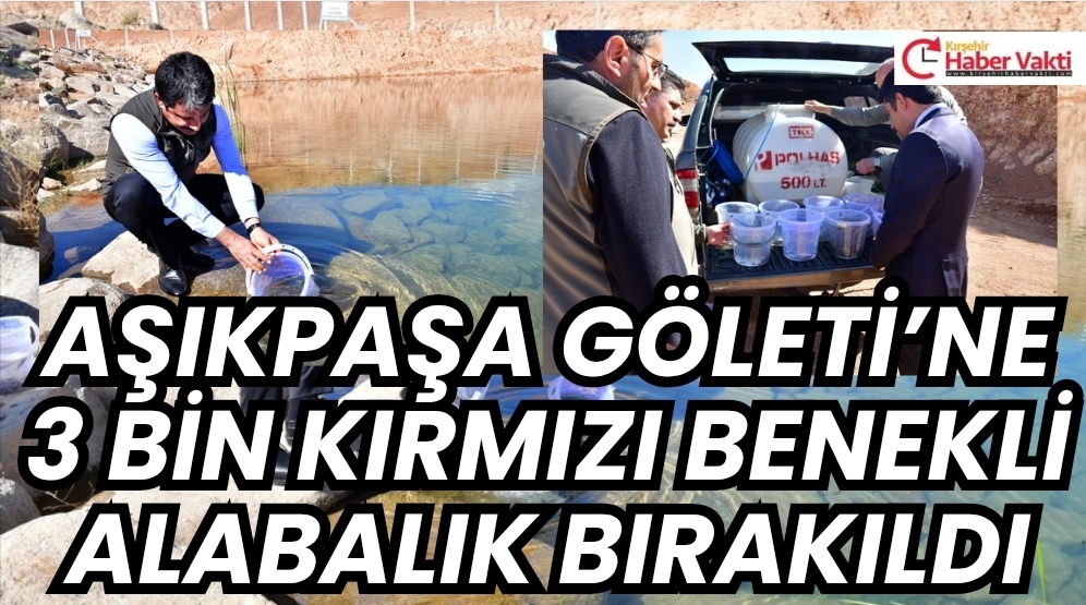 Aşıkpaşa Göleti’ne 3 Bin Kırmızı Benekli Alabalık Bırakıldı