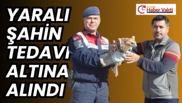 KIRŞEHİR’DE YARALI KIZIL ŞAHİN TEDAVİ ALTINA ALINDI