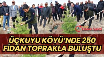 Kırşehir’de Geleceğe Nefes: Üçkuyu Köyü’nde 250 Fidan Toprakla Buluştu