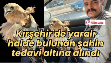 YARALI HALD2 BULUNAN ŞAHİN TEDAVİ ALTINA ALINDI