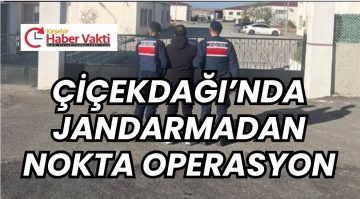 ÇİÇEKDAĞI’NDA JANDARMADAN NOKTA OPERASYON: HAPİS CEZALI HÜKÜMLÜ YAKALANDI