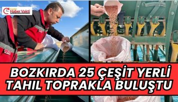 KIRŞEHİR’DE BOZKIRA UMUT: 25 ÇEŞİT YERLİ TAHIL TOPRAKLA BULUŞTU