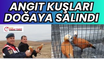 KIRŞEHİR’DE KORUMA ALTINDAKİ ANGIT KUŞLARI DOĞAYA SALINDI