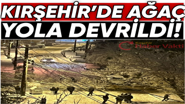 RÜZGÂR VE KAR KIRŞEHİR’DE AĞACI DEVİRDİ: YOL TRAFİĞE KAPANDI