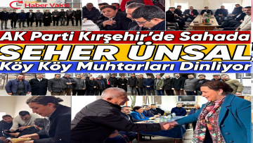 Seher Ünsal Köy Köy Sahada: Talepler Yerinde Dinleniyor