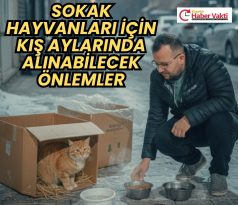 SOĞUK HAVALARDA SOKAK HAYVANLARINI UNUTMAYALIM!