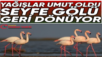Yağışlar Umut Oldu: Seyfe Gölü Geri Dönüyor