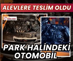 OTOMOBİL ALEVLERE TESLİM OLDU