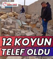 FIRTINA AĞILIN ÇATISINI UÇURDU