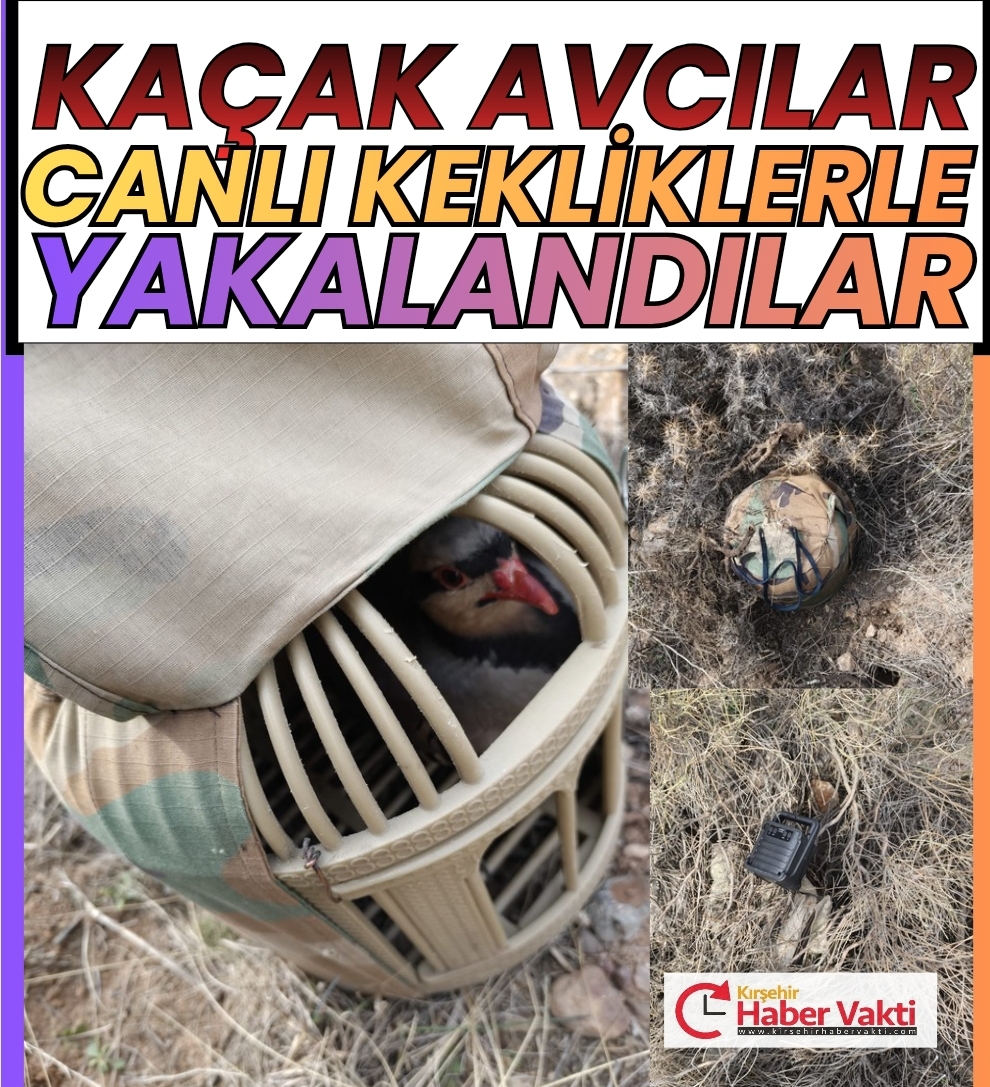 YASADIŞI AVCILIĞA GEÇİT YOK