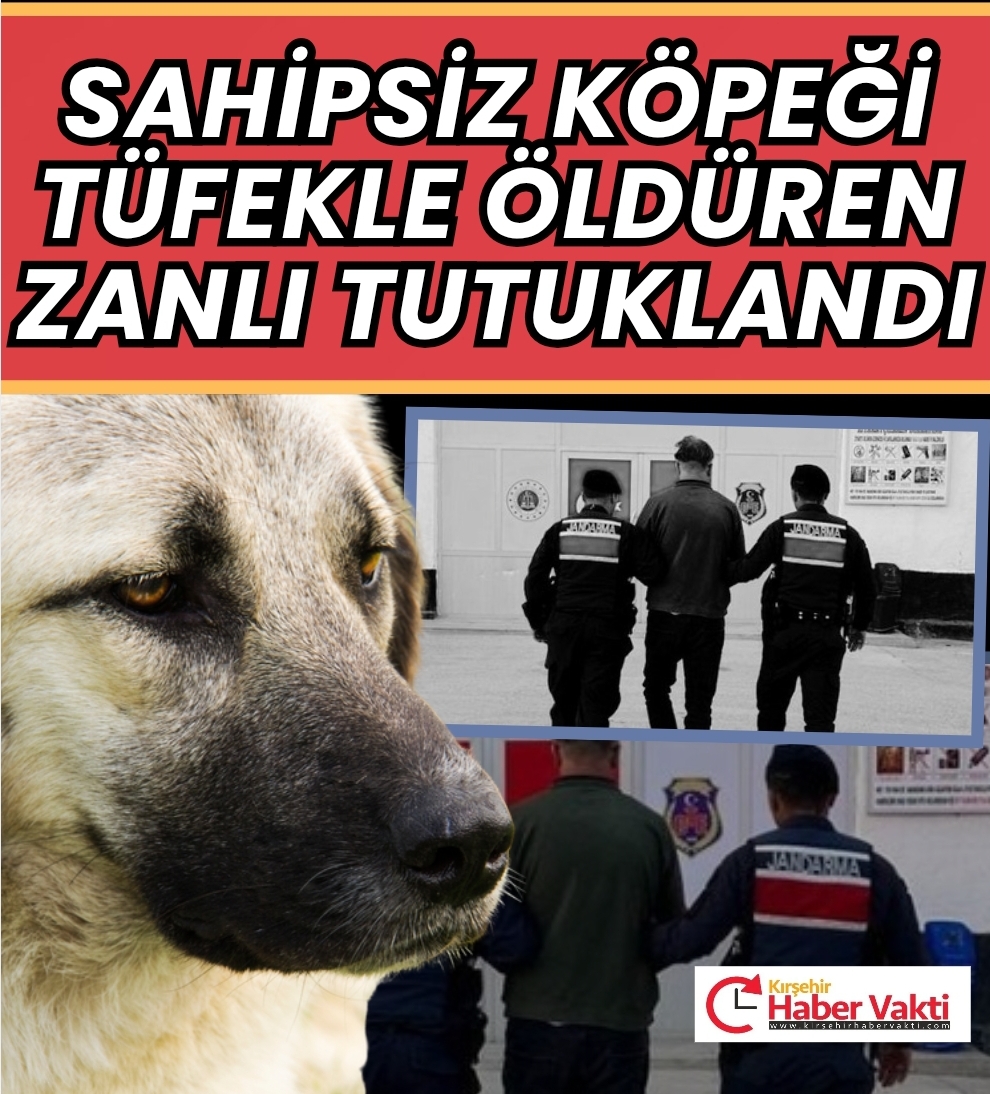 KÖPEĞİ VURAN ŞAHIS TUTUKLANDI