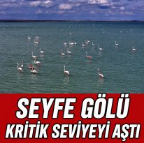 SEYFE GÖLÜ YENİDEN CANLANDI SU SEVİYESİ KRİTİK EŞİĞİ AŞTI