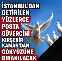 İstanbul’dan Getirilen Yüzlerce Posta Güvercini Kaman’dan Gökyüzüne Bırakılacak