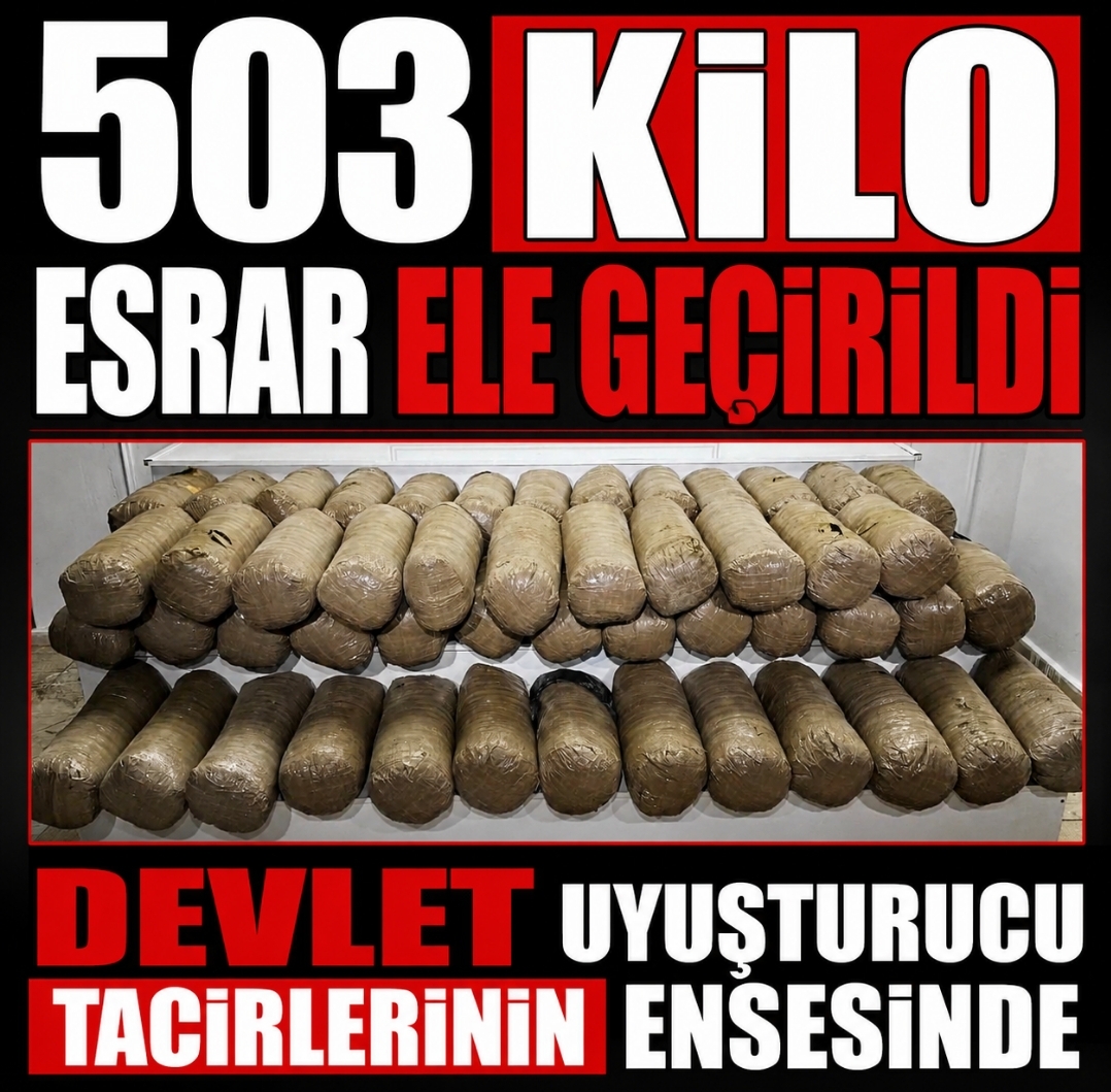 503 Kilo Esrar Ele Geçirildi