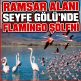 Ramsar Alanı Seyfe Gölü’nde Flamingo Şöleni