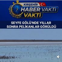 SEFE GÖLÜ’NDE GÖRSEL ŞÖLEN YILLAR SONRA PELİKANLAR GÖRÜLDÜ