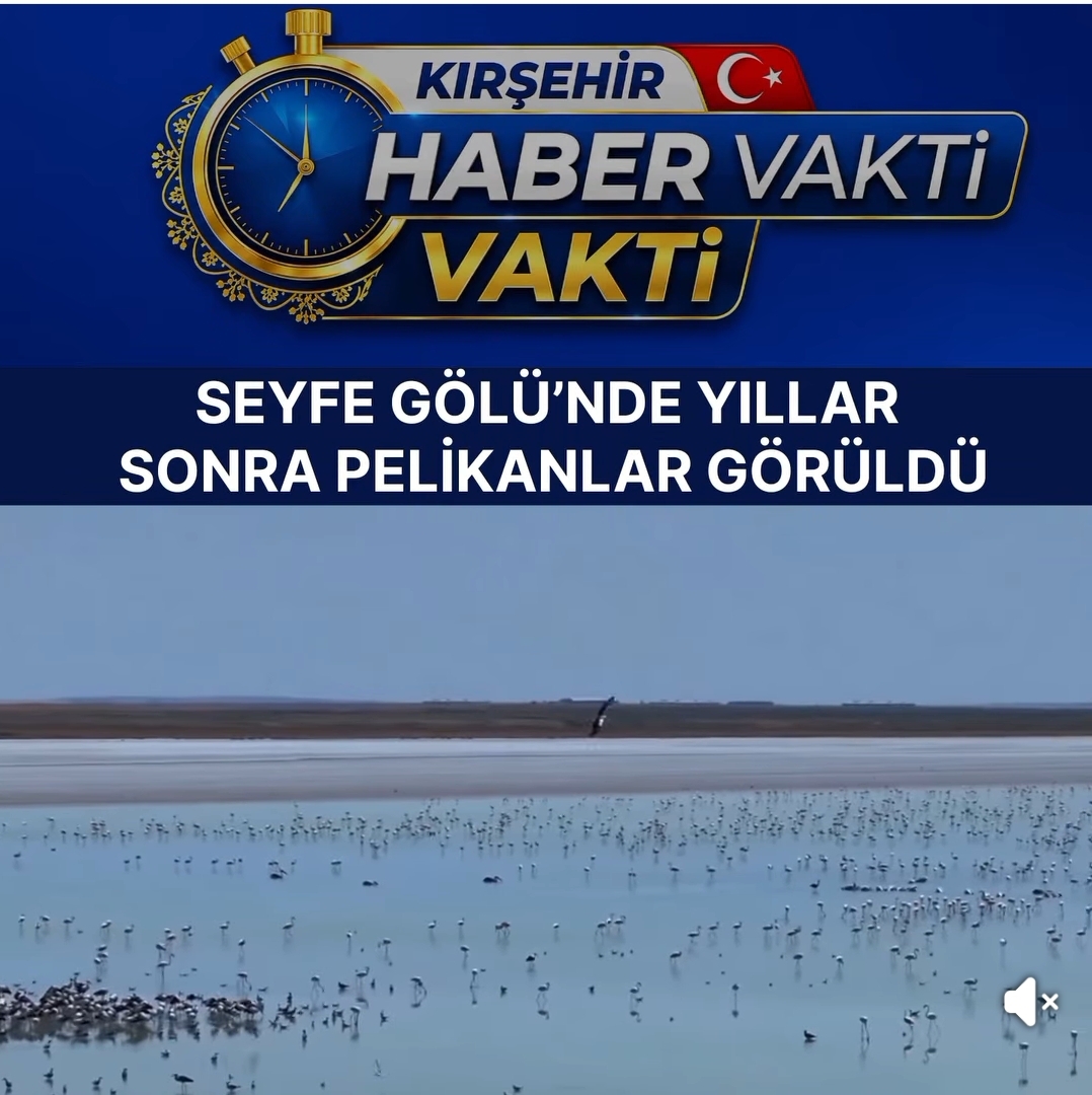 SEFE GÖLÜ’NDE GÖRSEL ŞÖLEN YILLAR SONRA PELİKANLAR GÖRÜLDÜ